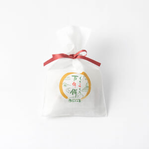 mochi3